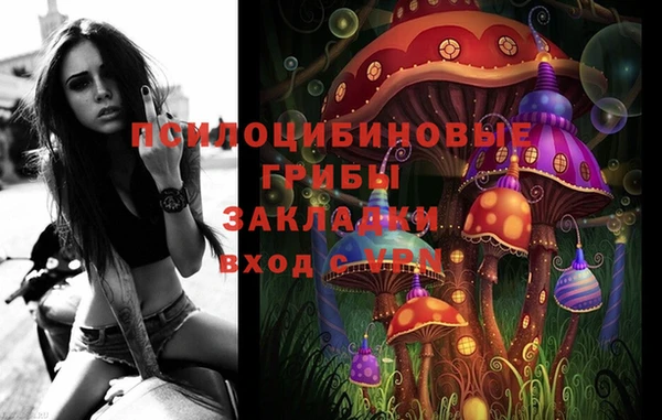 герыч Дмитров
