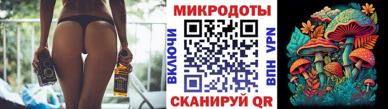 Псилоцибиновые грибы Psilocybe  Купить где  Лобня 